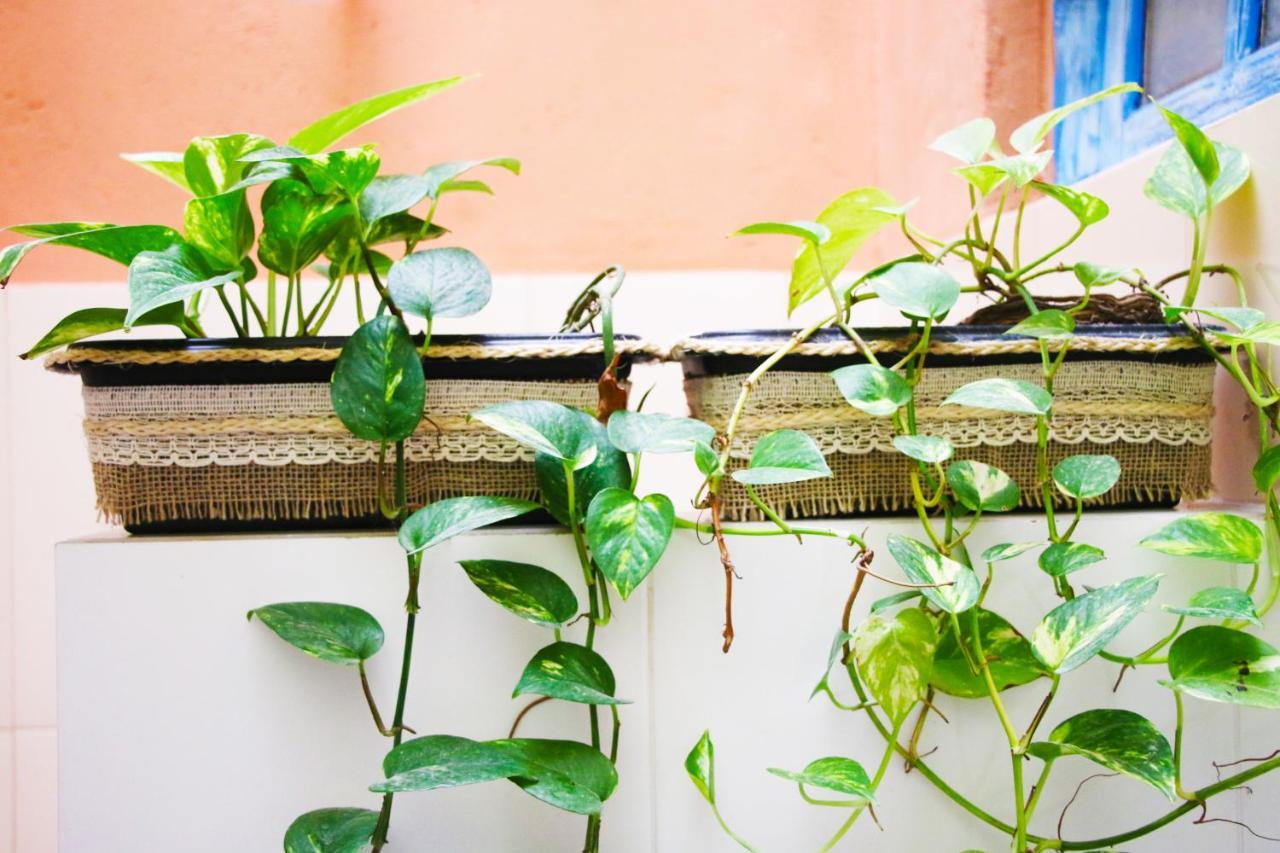 Santo Hostel ปอร์โตเซกูโร ภายนอก รูปภาพ